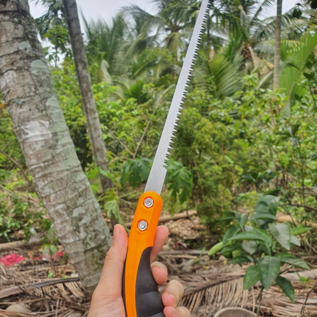 (Freeship) Combo Dụng Cụ Làm Vườn Cây Cảnh Bonsai (Cưa Barker Kèm Lưỡi Cưa Lách New Kèm Lưỡi và Kéo Tỉa Cành) - GD Smart