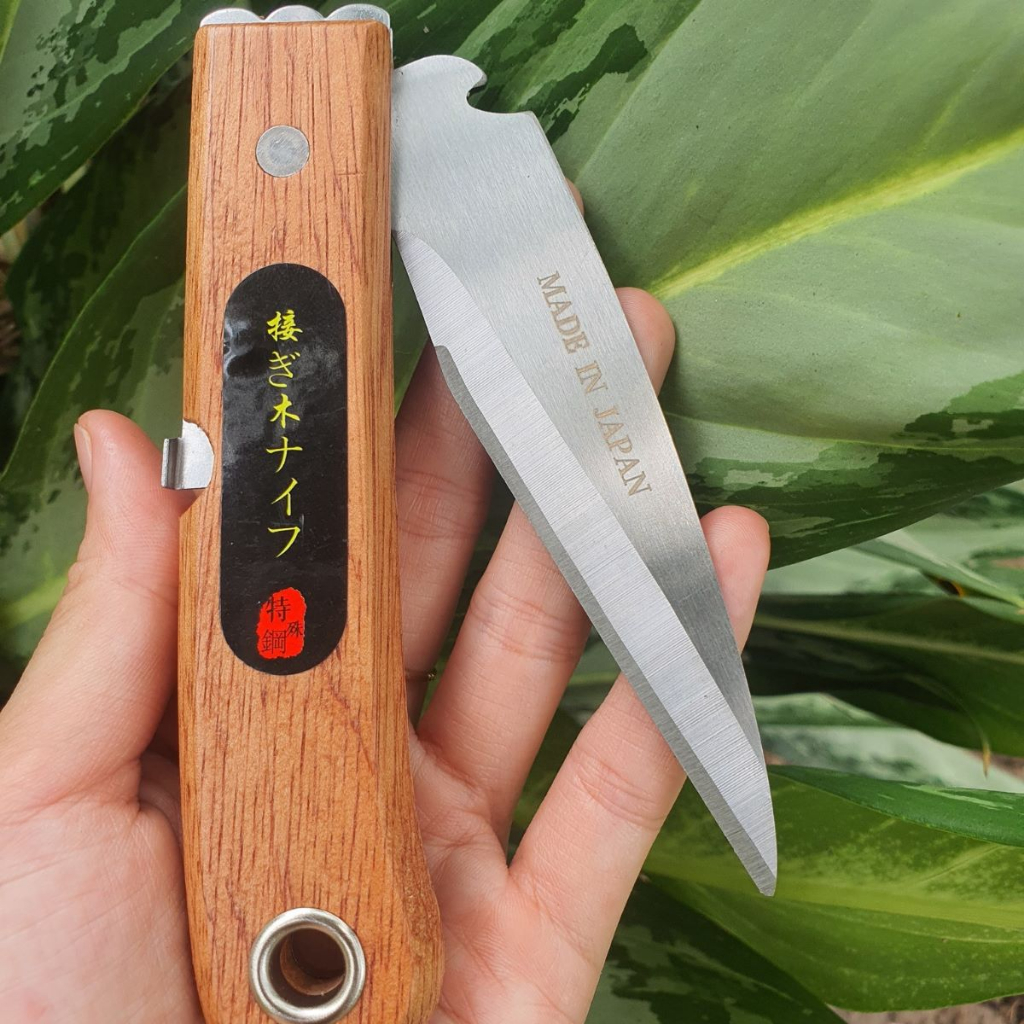 Combo Dụng Cụ Làm Vườn Cây Cảnh Bonsai (Cưa Gập SK5 Kéo Cắt Cành Dao Ghép Cành và Cưa Lách New) - GD Smart