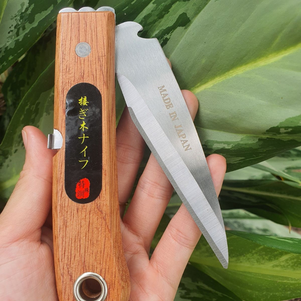 Combo Dụng Cụ Làm Vườn Cây Cảnh Bonsai (Kéo Tỉa Đỏ Kéo Cắt Cành Dao Ghép Cành và Cưa Lách New) - Dụng Cụ Nông Nghiệp GD
