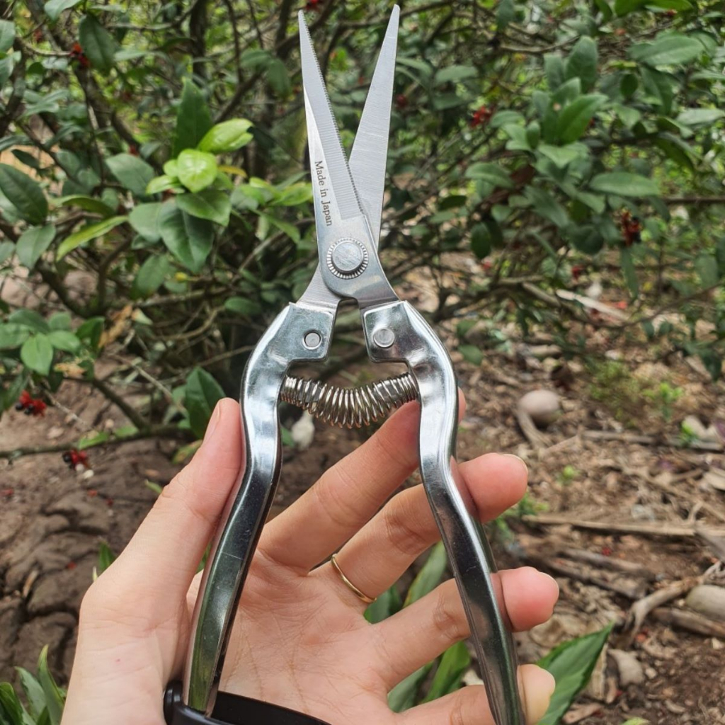 Combo Dụng Cụ Làm Vườn Cây Cảnh Bonsai (Kéo Tỉa Trắng Kéo Cắt Cành Cưa Barker và Cưa Lách New) - Dụng Cụ Nông Nghiệp GD