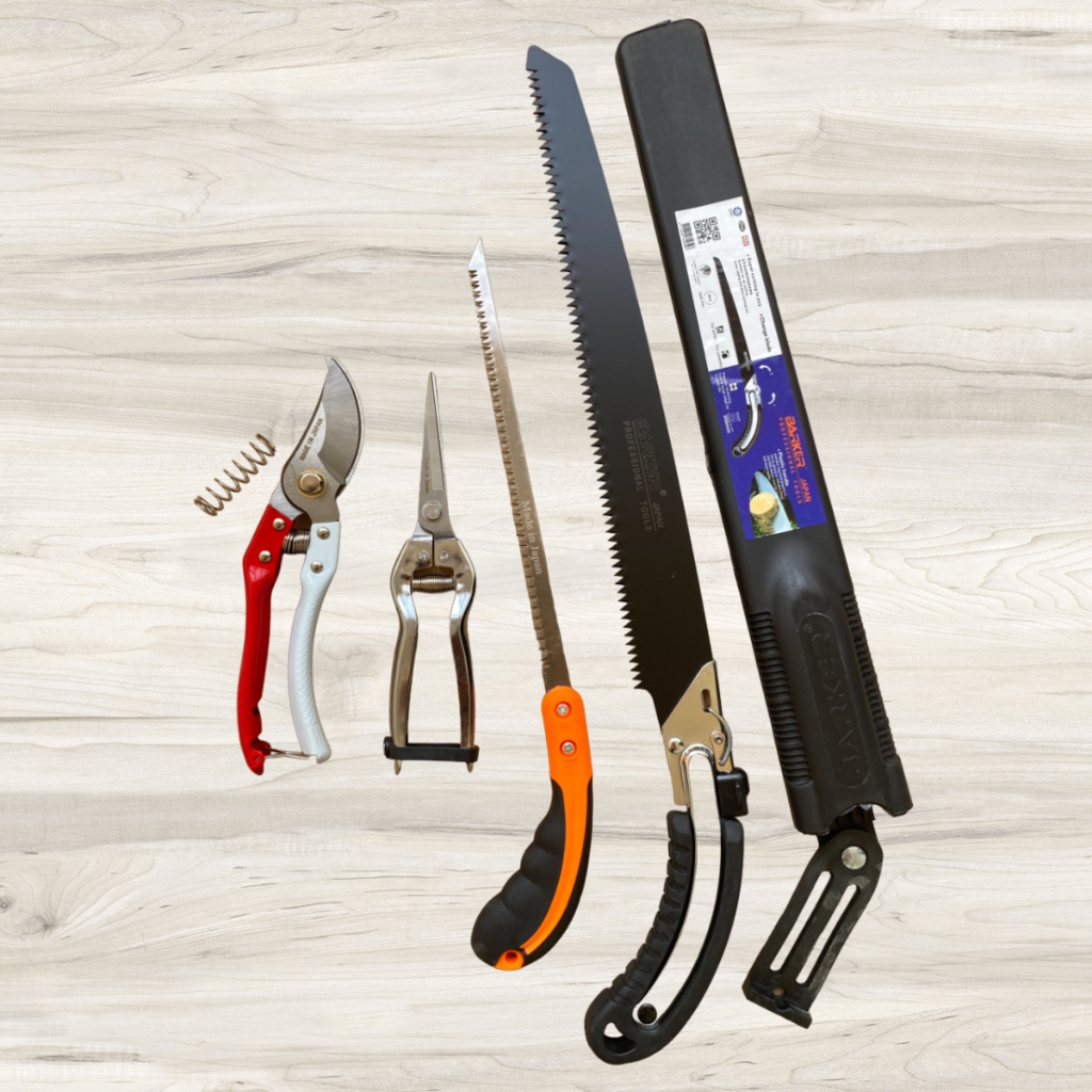 Combo Dụng Cụ Làm Vườn Cây Cảnh Bonsai (Kéo Tỉa Trắng Kéo Cắt Cành Cưa Barker và Cưa Lách New) - Dụng Cụ Nông Nghiệp GD