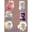 HÌNH IN ÁO-- ICON DOGS,CATS SUPER CUTE .MẦU SẮC ẤN TƯỢNG- Hàng thiết kế .IN ỦI TRỰC TIẾP TẠI NHÀ BẰNG BÀN ỦI