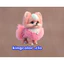HÌNH IN ÁO-- ICON DOGS,CATS SUPER CUTE .MẦU SẮC ẤN TƯỢNG- Hàng thiết kế .IN ỦI TRỰC TIẾP TẠI NHÀ BẰNG BÀN ỦI