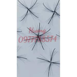 mi katun (wispy) 5d 0.07 hộp 1000 fan và 500 fan