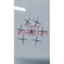 mi katun (wispy) 5d 0.07 hộp 1000 fan và 500 fan