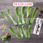 BỘ 10 LƯỢC CHẢI TÓC RĂNG THƯA RĂNG NHỎ - Lược tạo kiểu, gỡ rối tóc, chất liệu bền đẹp, tiện dụng