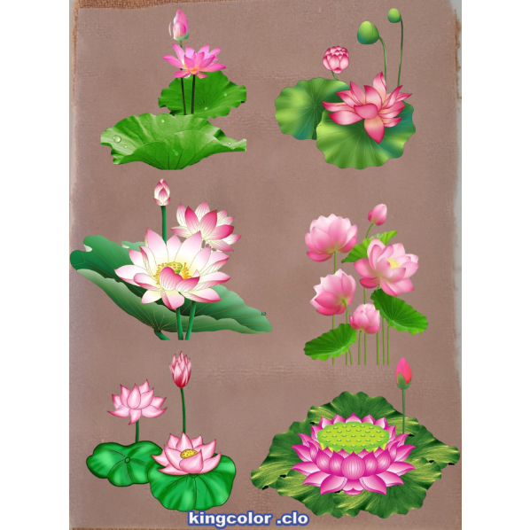 HÌNH ỦI QUẦN ÁO- HOA SEN DỄ THƯƠNG ỦI ÁO ĐẸP.CHẤT LƯỢNG .MẦU SẮC ẤN TƯỢNG-ỦI TRỰC TIẾP TẠI NHÀ BẰNG BÀN ỦI