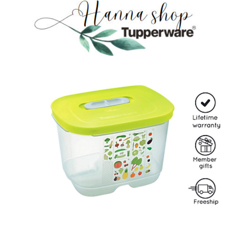 Hộp trữ mát có nút hô hấp Ventsmart Tupperware chính hãng đủ dung tích ...