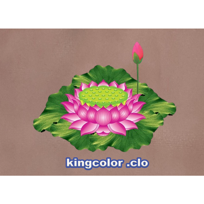 HÌNH ỦI QUẦN ÁO- HOA SEN DỄ THƯƠNG ỦI ÁO ĐẸP.CHẤT LƯỢNG .MẦU SẮC ẤN TƯỢNG-ỦI TRỰC TIẾP TẠI NHÀ BẰNG BÀN ỦI