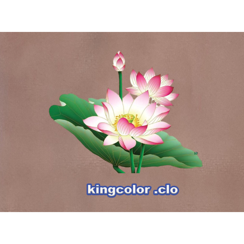 HÌNH ỦI QUẦN ÁO- HOA SEN DỄ THƯƠNG ỦI ÁO ĐẸP.CHẤT LƯỢNG .MẦU SẮC ẤN TƯỢNG-ỦI TRỰC TIẾP TẠI NHÀ BẰNG BÀN ỦI