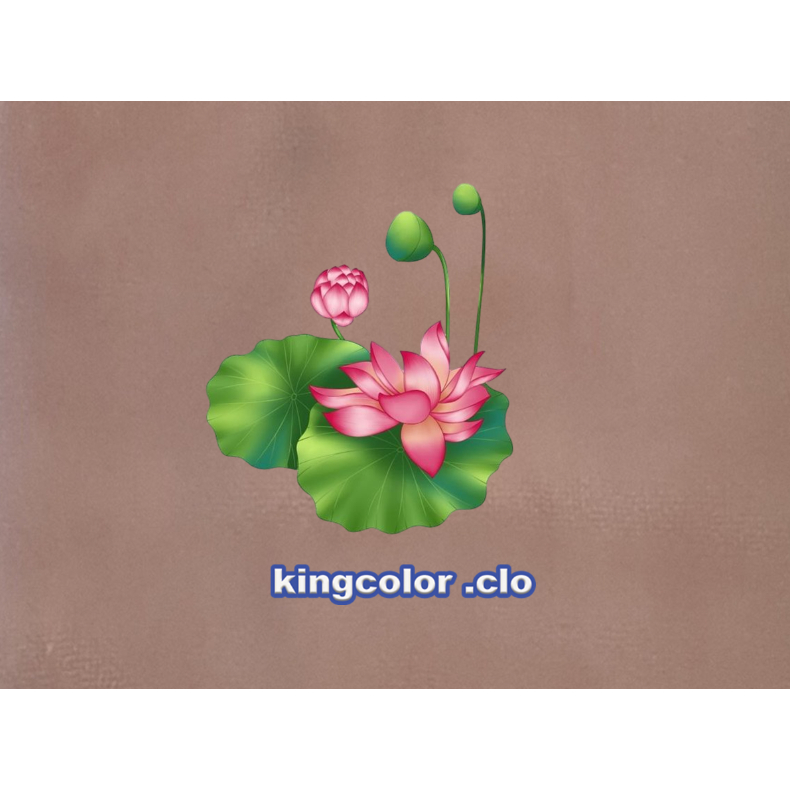 HÌNH ỦI QUẦN ÁO- HOA SEN DỄ THƯƠNG ỦI ÁO ĐẸP.CHẤT LƯỢNG .MẦU SẮC ẤN TƯỢNG-ỦI TRỰC TIẾP TẠI NHÀ BẰNG BÀN ỦI