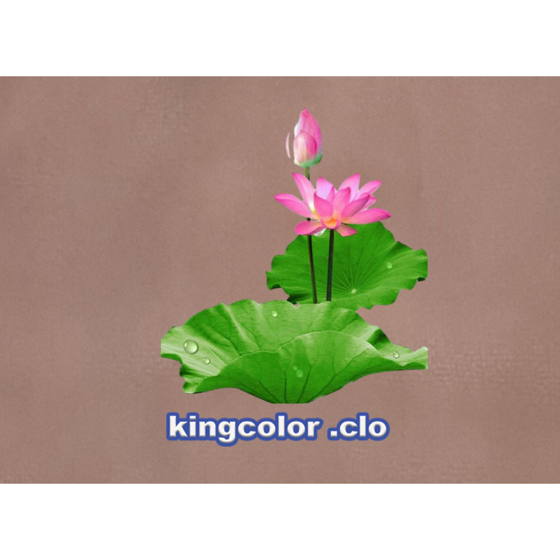 HÌNH ỦI QUẦN ÁO- HOA SEN DỄ THƯƠNG ỦI ÁO ĐẸP.CHẤT LƯỢNG .MẦU SẮC ẤN TƯỢNG-ỦI TRỰC TIẾP TẠI NHÀ BẰNG BÀN ỦI
