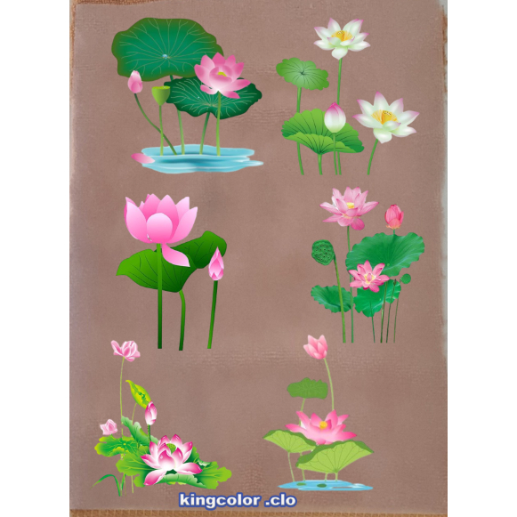 HÌNH ỦI ÁO-HÌNH ỦI ÁO-HINH HOA SEN ỦI ÁO ĐẸP.CHẤT LƯỢNG .MẦU SẮC ẤN TƯỢNG-ỦI TRỰC TIẾP TẠI NHÀ BẰNG BÀN ỦI