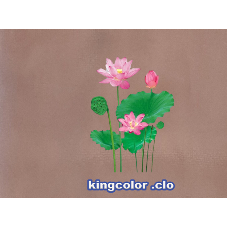 HÌNH ỦI ÁO-HÌNH ỦI ÁO-HINH HOA SEN ỦI ÁO ĐẸP.CHẤT LƯỢNG .MẦU SẮC ẤN TƯỢNG-ỦI TRỰC TIẾP TẠI NHÀ BẰNG BÀN ỦI