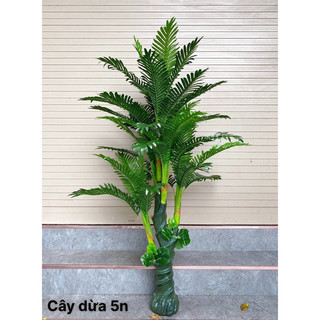 Cây dừa cổ thụ 5 nhánh cao 1,7m cao cấp - Cây giả decor