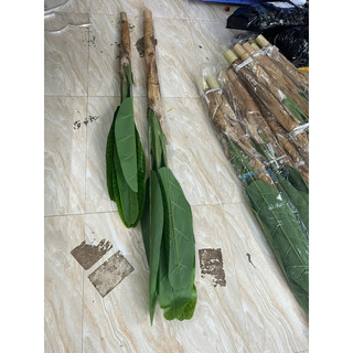 Bộ 2 cây chuối quê giả cao 1,6m - Cây giả decor