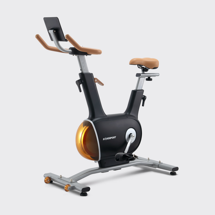 Xe đạp tập KINGSPORT Creative E-03 Black bánh đà kép 7kg với 8 cấp độ kháng lực