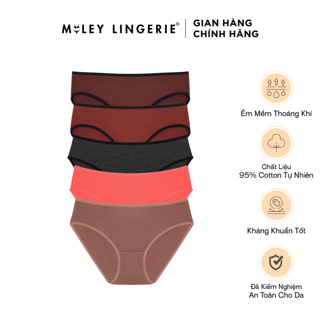 Ảnh Combo 5 Quần Lót Cotton Co Dãn 4 Chiều Flexi Miley Lingerie BCS40 ( Giao màu ngẫu nhiên) 1