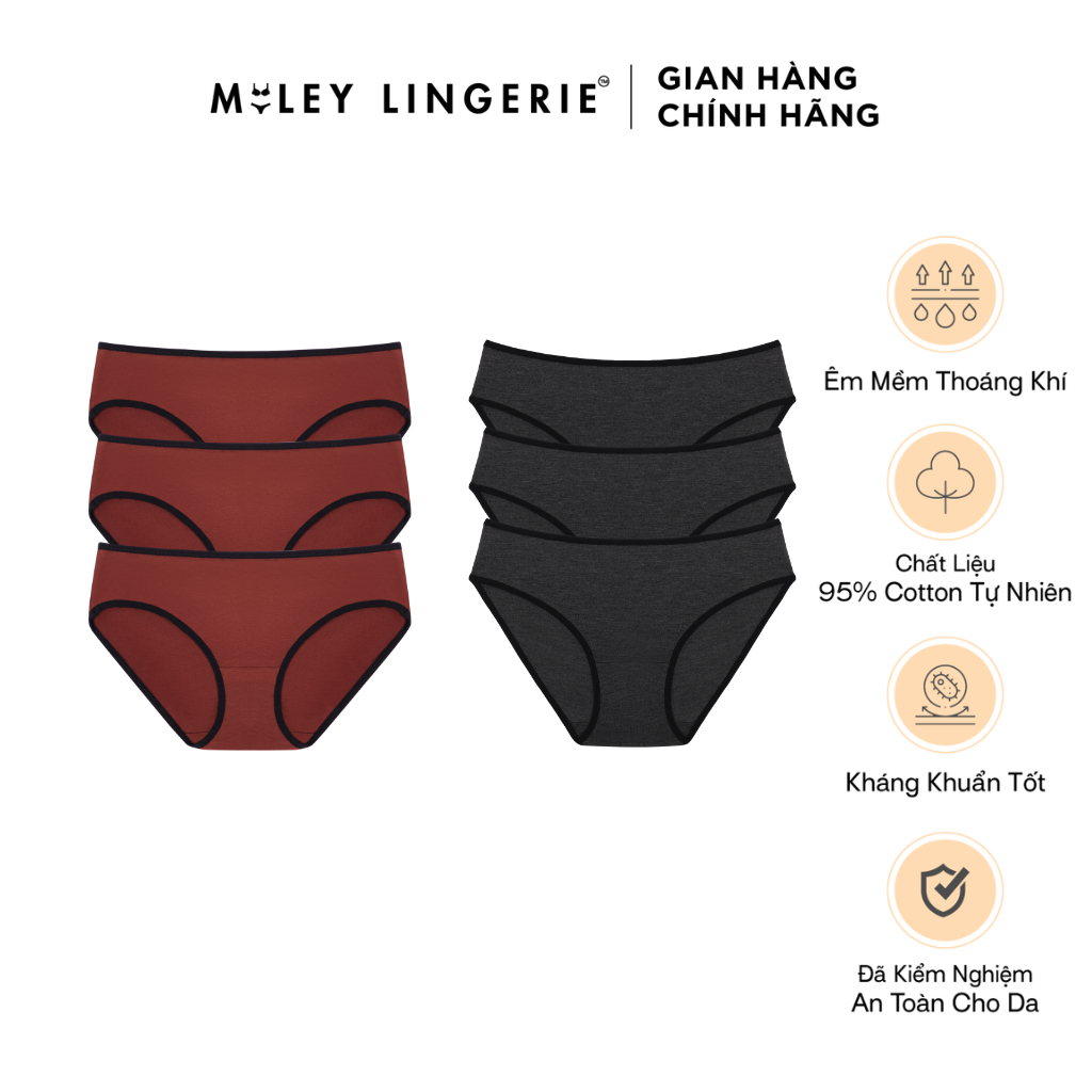Ảnh Combo 6 Quần Lót Flexi Cotton Lụa Co Dãn 4 Chiều Comfort Miley Lingerie BCS40 ( Màu ngẫu nhiên) 1