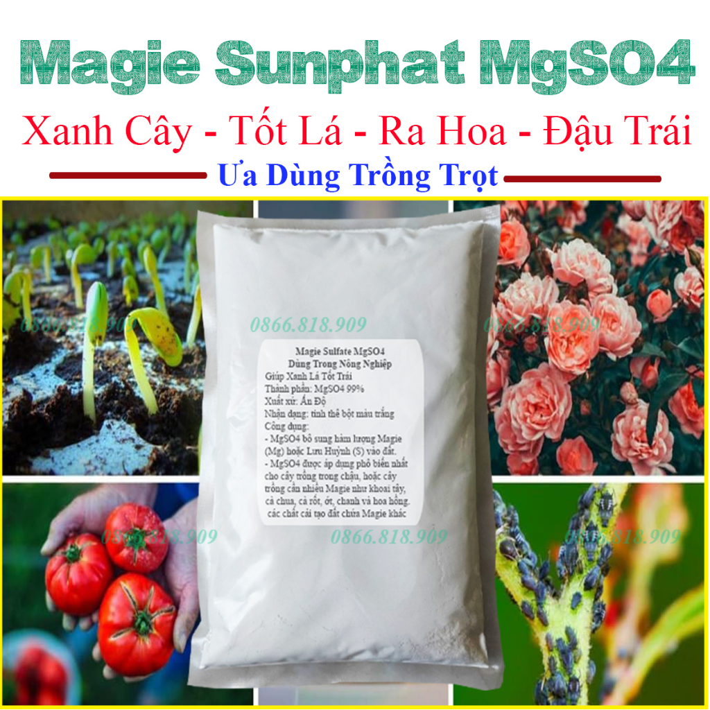 1 Kg Magie Sunphat MgSO4 - Magnesium Sulfate Trồng Cây Cho Xanh Lá Tốt ...