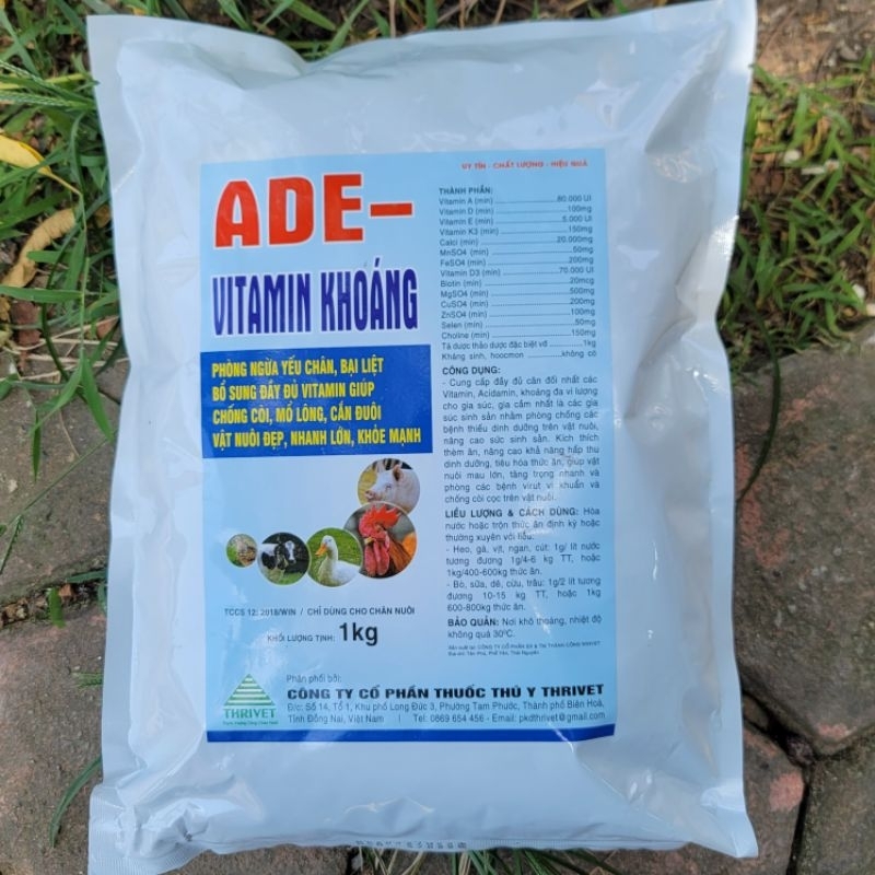 ADE - Giá Tốt, Sale Tháng 06, Freeship 0Đ | Shopee Việt Nam