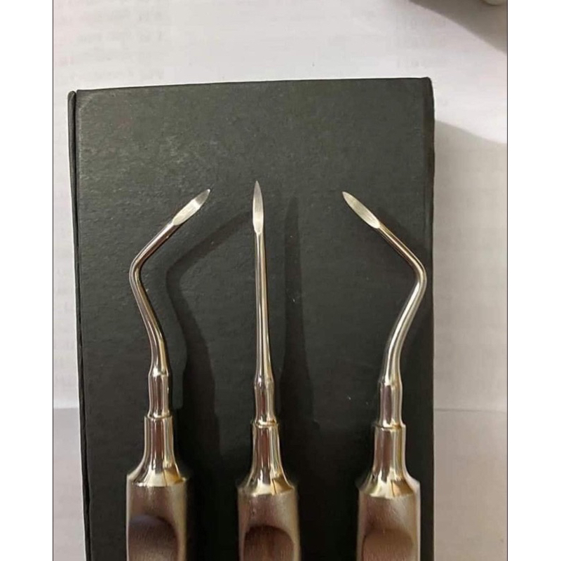 Bộ 3 cây nạy chân răng inox Tulit thép Đức chất lượng kèm hộp | Shopee ...