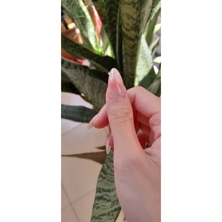 Nailbox Ombre Hồng Hoạ Tiết Ngôi Sao Mặt Trăng Khuyết