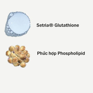 Thực Phẩm Bảo Vệ Sức Khỏe Codeage Liposomal Glutathione 60 Viên
