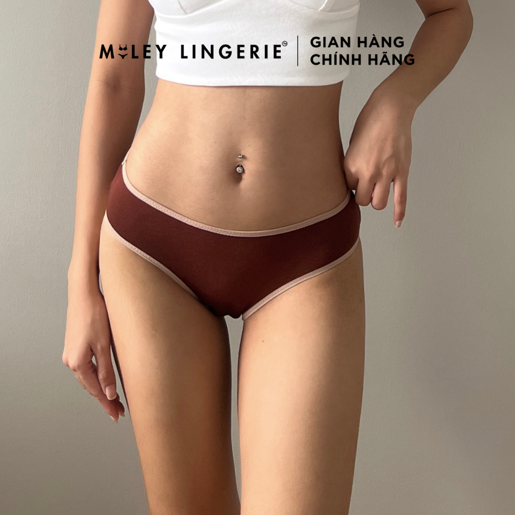 Ảnh Quần Lót Nữ Cotton Co Dãn 4 Chiều Flexi Miley Lingerie New-BCS40 3