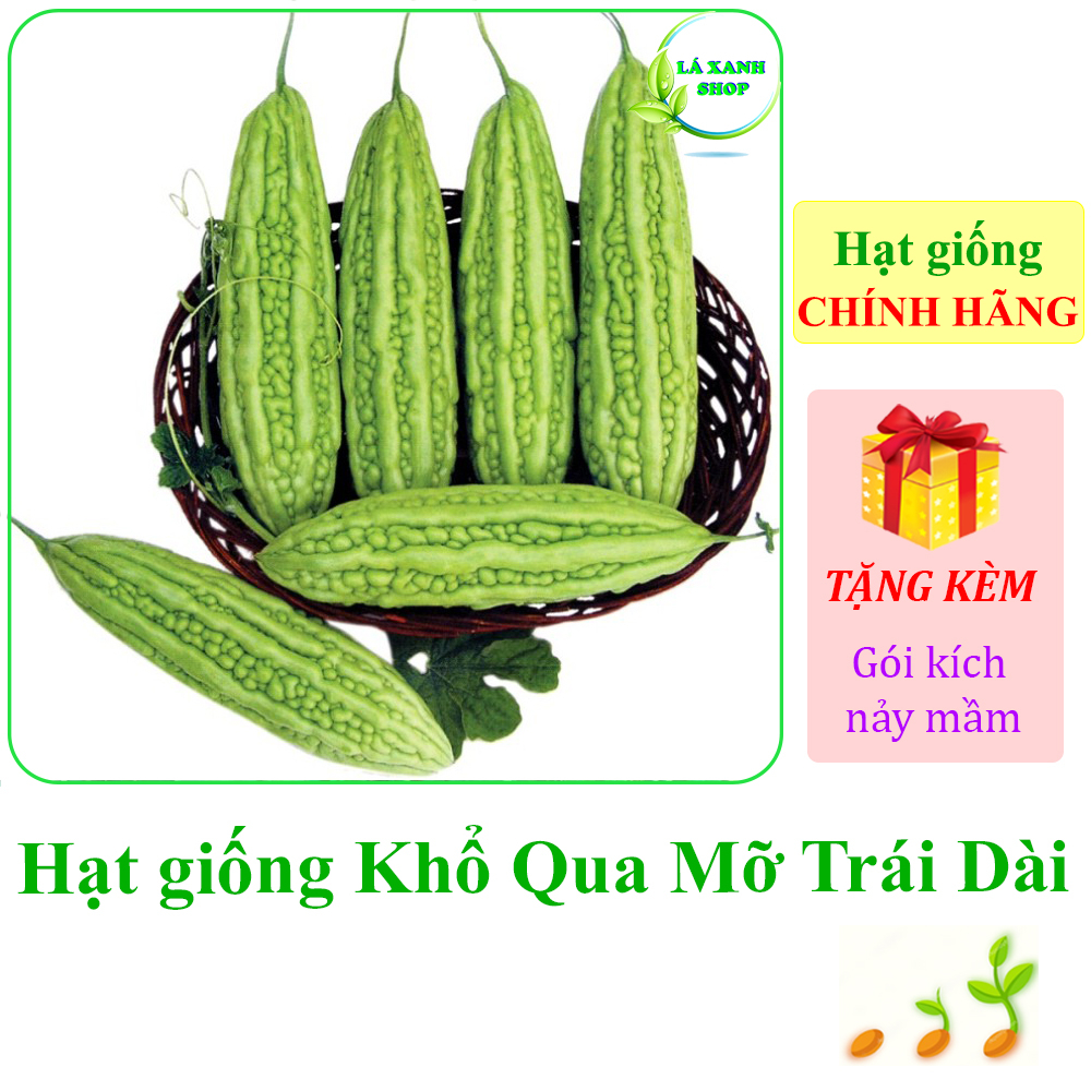 Semillas De Calabaza Amarga Vietnamita (Khổ Qua) - Variedad De Fruto Largo, No Transgénica, Para Huerto