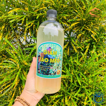 Giấm táo mèo (sơn tra) giảm cân loại 1 (1 lít), giấm táo mèo hữu cơ organic nguyên chất. Dấm táo mèo giảm cân, mỡ bụng