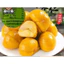 combo 2 goi hạt dẻ tẩm mật ong gói nhỏ trong hộp 8 gói
