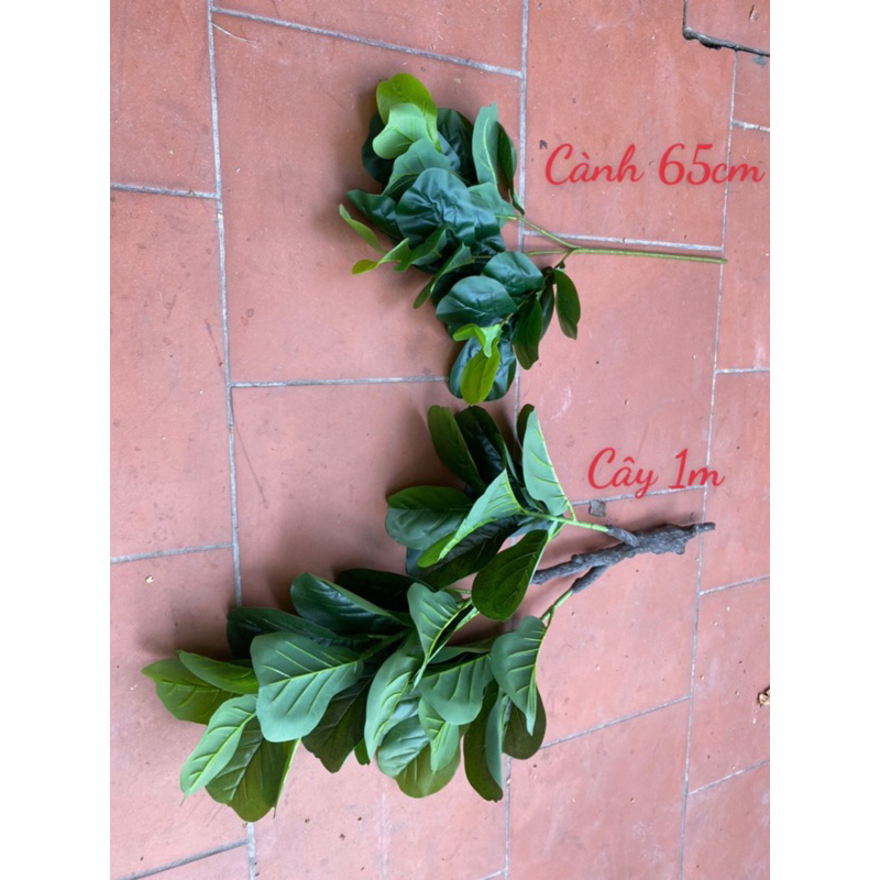 Cây bàng Sing ( cây hoa giả) | Shopee Việt Nam