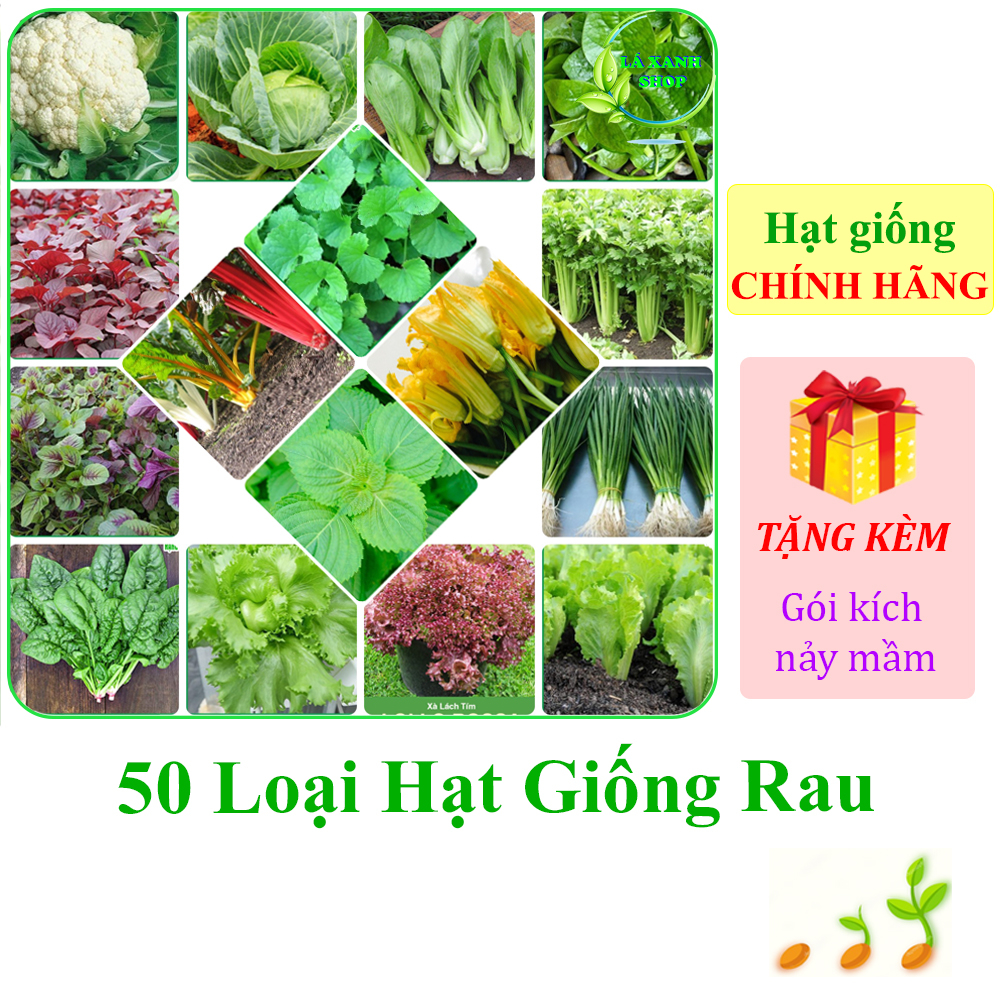 [Seeds] Nhiều loại hạt giống rau Rạng Đông gói 1g / 2g / 5g / 10g / 20g ...