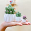 Mô hình chậu cây xương rồng trắng size vừa và size lớn bày bàn làm việc, bàn học, tủ sách, taplo ô tô