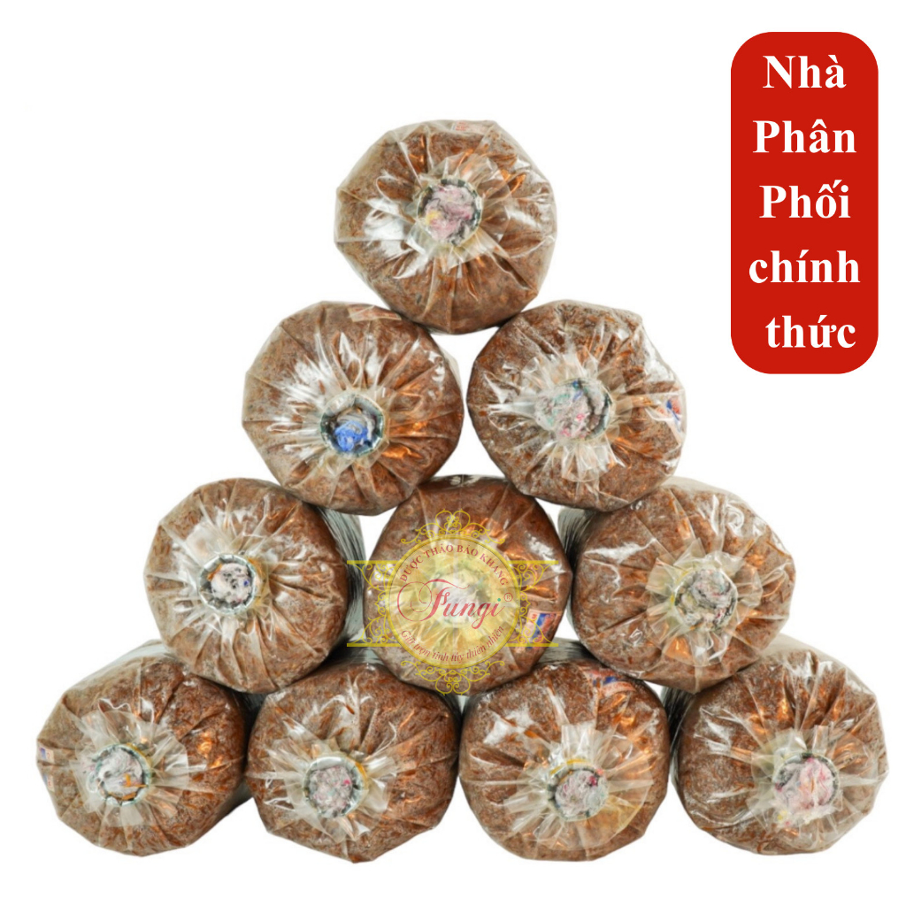 Combo 10 Meo Nấm Rơm Thần Nông - Fungi Tặng Kỹ Thuật Trồng Nấm Rơm ...