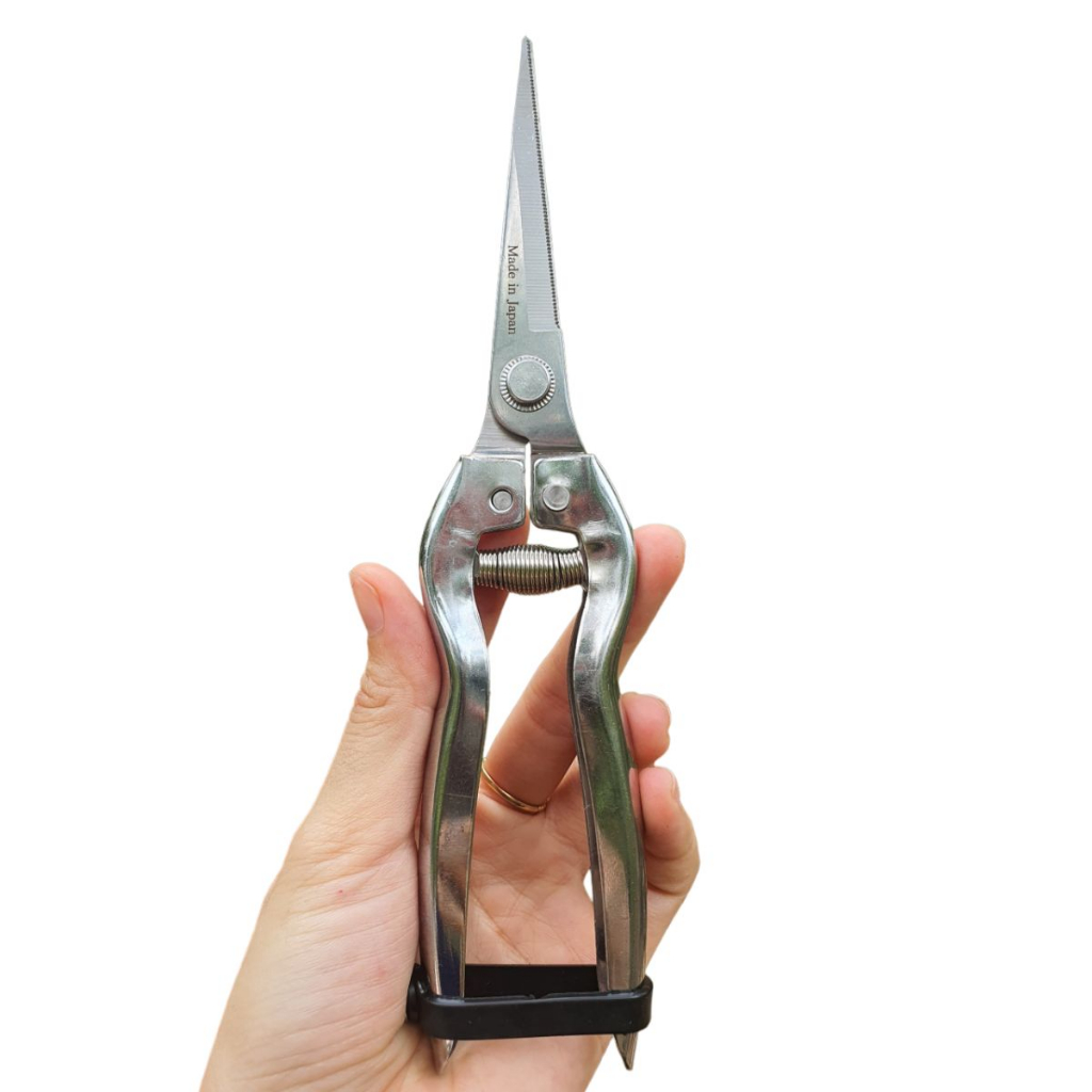Kéo Tỉa Thép Trắng Tỉa Cành Cây Cành Non Lá Chồi Cây Cảnh Bonsai - Dụng Cụ Nông Nghiệp GD Smart