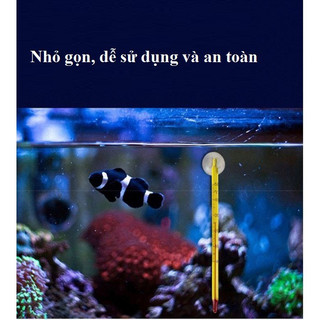 Nhiệt kế thủy ngân gắn thành bể - Đo nhiệt độ bể cá