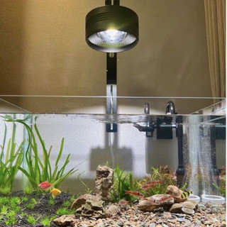 Đèn thủy sinh Ledesk (72W, 50W, 30W) cao cấp cho bể cá cảnh Biotope