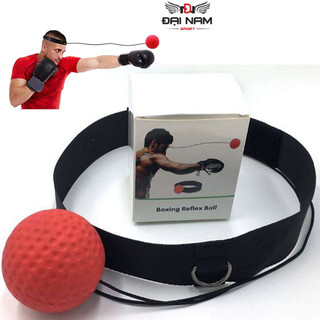 Bóng Đấm Tập Phản Xạ Treo Đầu Cao Cấp Đại Nam Sport