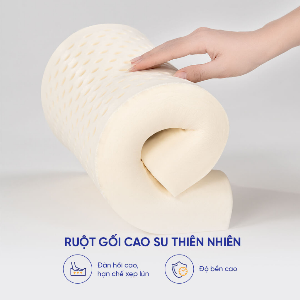 Ảnh Gối cao su thiên nhiên Gummi Pudding 26x43cm lượn sóng nâng đỡ chắc chắn, thoáng khí, dành cho người nằm thấp 4