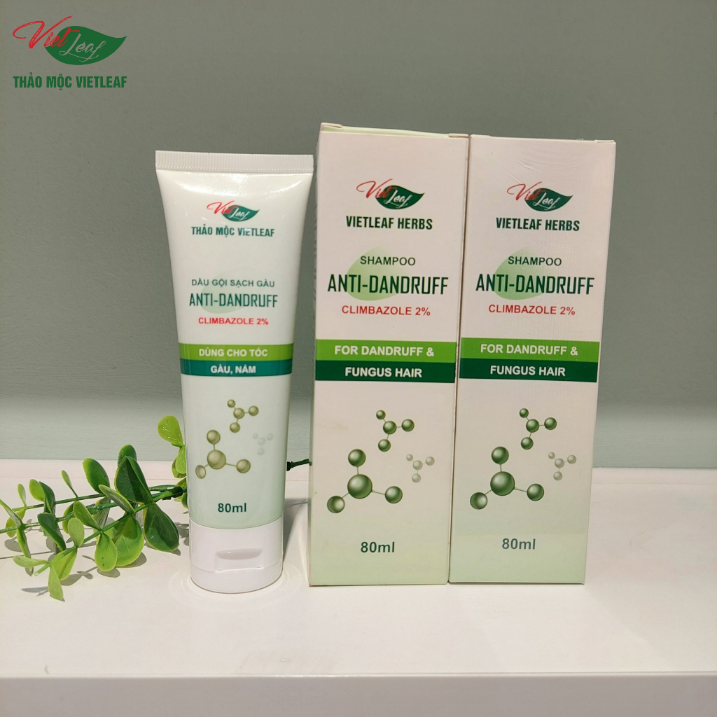Dầu gội sạch gàu giảm nấm ngứa Thảo Mộc Vietleaf Anti-dandruf 80ml VIETLEAF-DGSG80