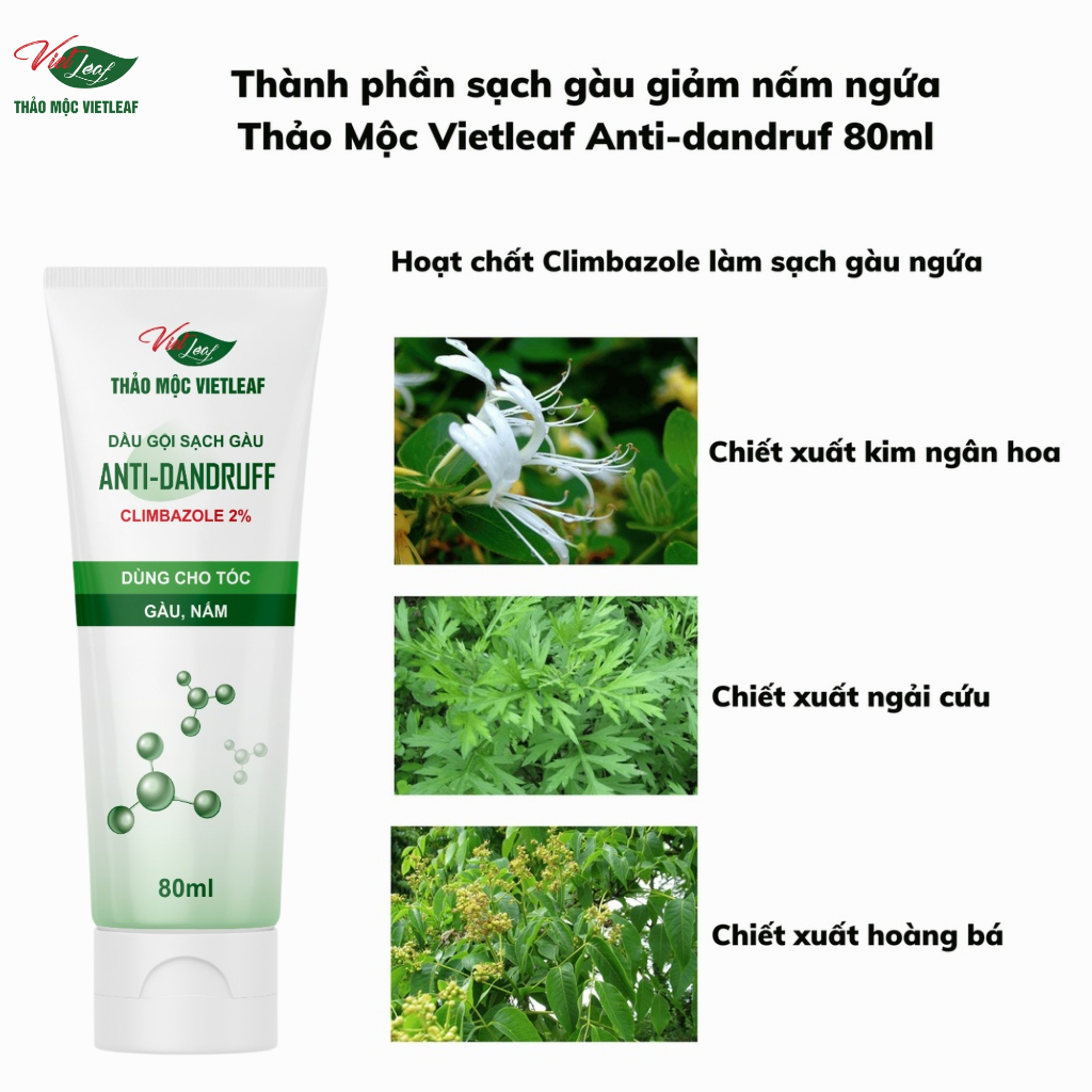 Dầu gội sạch gàu giảm nấm ngứa Thảo Mộc Vietleaf Anti-dandruf 80ml VIETLEAF-DGSG80