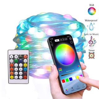 Đèn Fairy Light 16 triệu màu điều khiển từ xa, APP điện thoại, led đuổi, dây led nháy đuổi decor.
