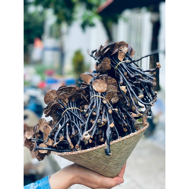 Nấm Linh Chi Chuẩn Rừng- Nấm Linh Chi Trúc- Nấm Cổ Cò 500gr
