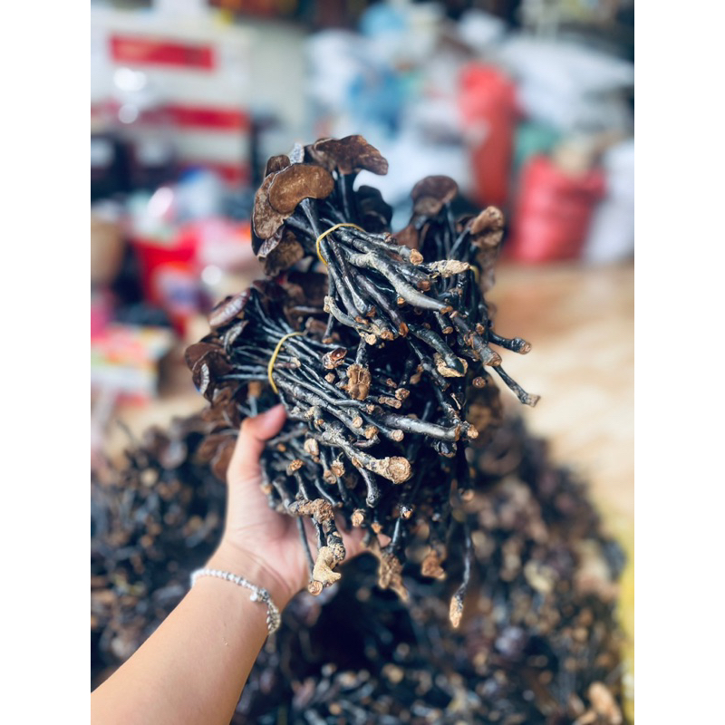 Nấm Linh Chi Chuẩn Rừng- Nấm Linh Chi Trúc- Nấm Cổ Cò 500gr