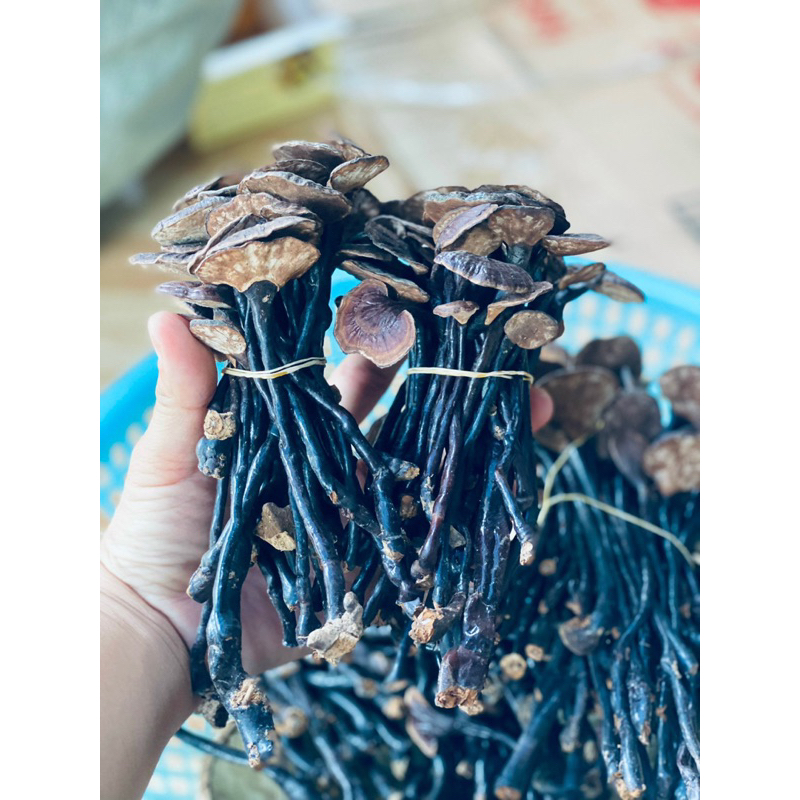 Nấm Linh Chi Chuẩn Rừng- Nấm Linh Chi Trúc- Nấm Cổ Cò 500gr