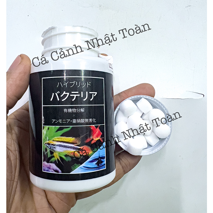 VI SINH DẠNG VIÊN AQUARISTA LÀM TRONG NƯỚC BỂ CÁ CẢNH NHẬT BẢN
