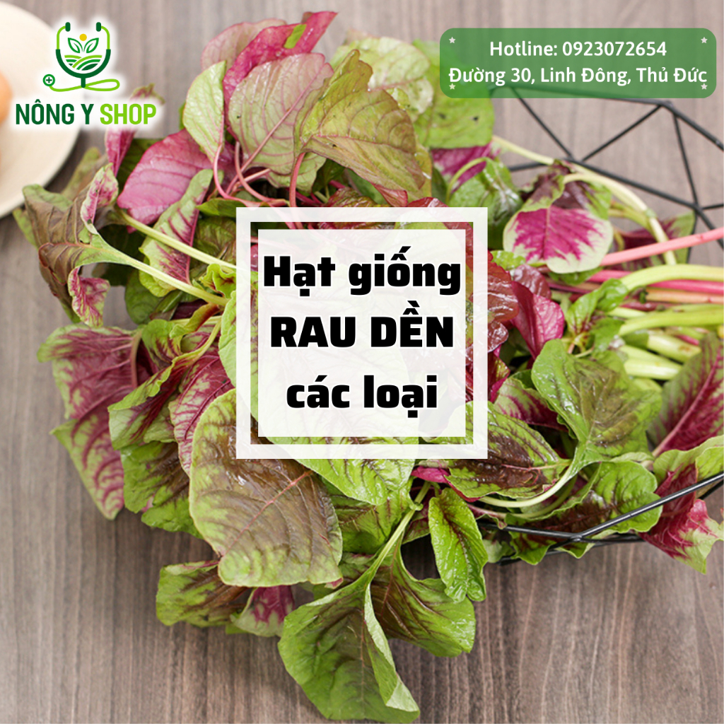Hạt giống các loại rau dền Rạng Đông, rau dền đỏ, rau dền ba màu, rau ...