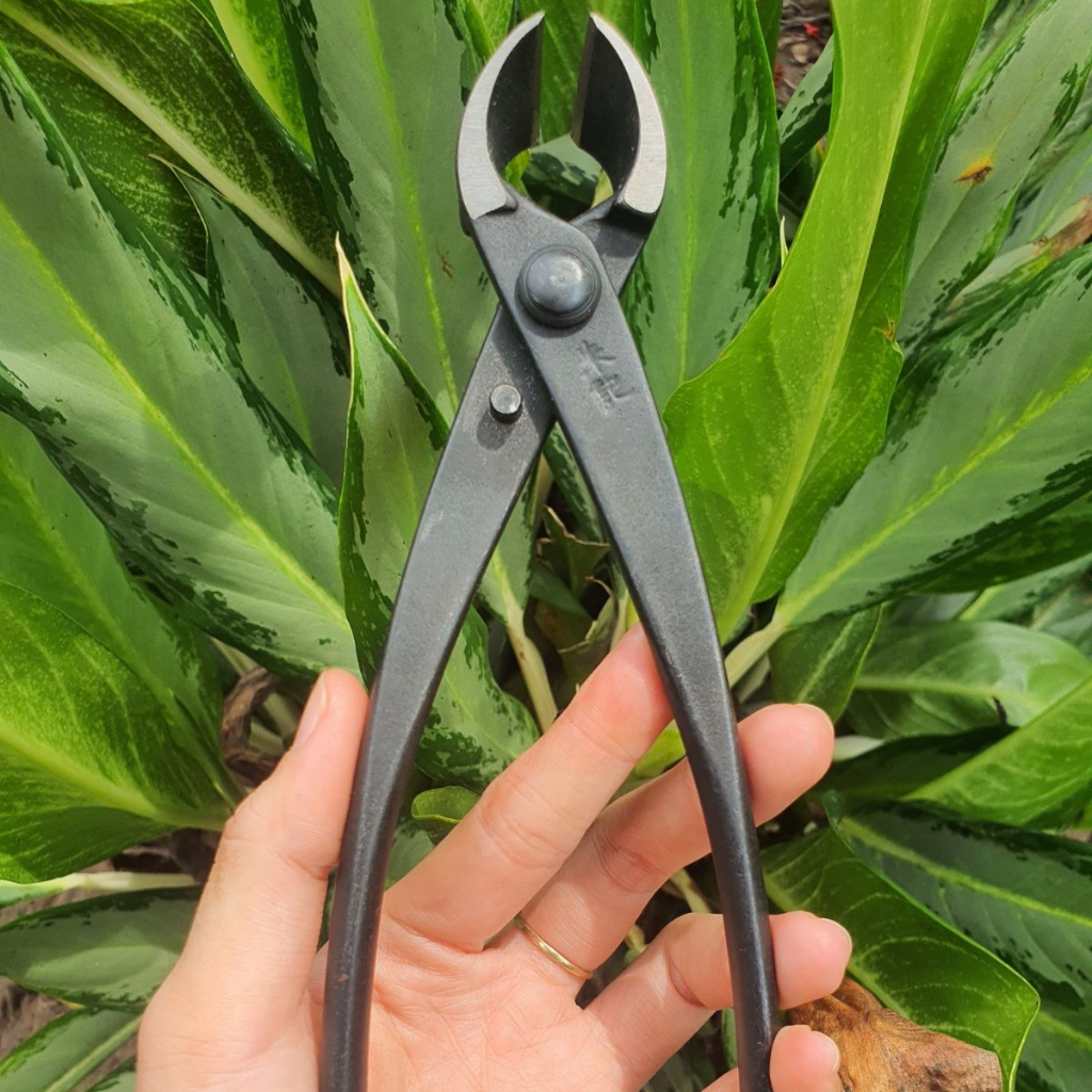 Cạp Tròn Cây Cảnh Bonsai MST Thép Đen Chất Lượng - Dụng Cụ Nông Nghiệp GD Smart